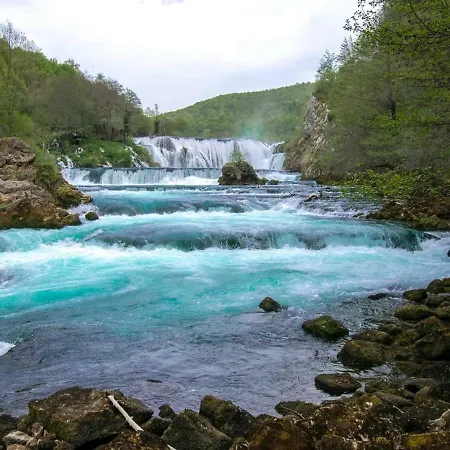 Naid קולן וקוף